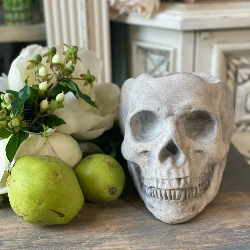 Concrete Skull mahogany teak hand poured candle Halloween Dark Academia Gothic